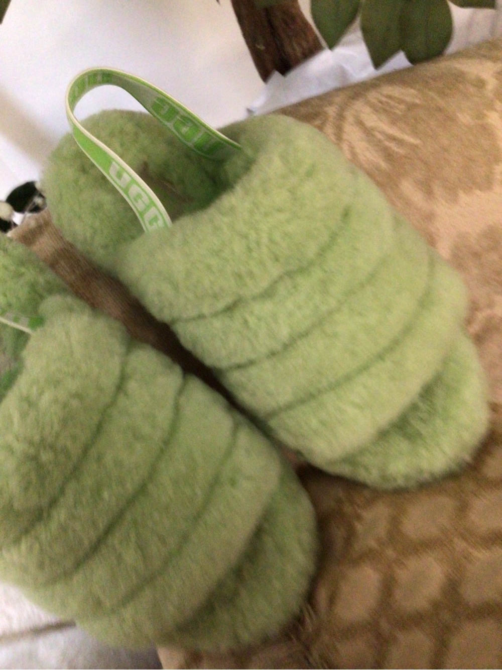 UGG - Picture 7 of 10